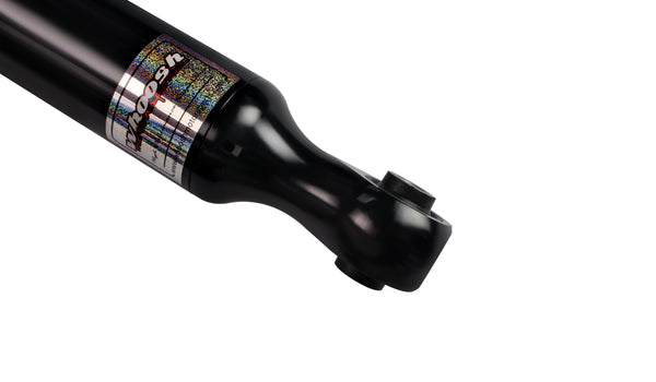 whoosh motorsports performance coilover suspension kit 2014-2019 Fiesta ST