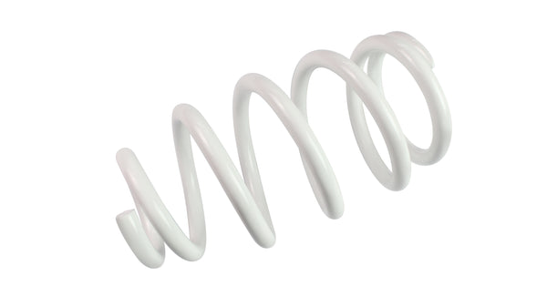 whoosh motorsports performance coilover suspension kit 2014-2019 Fiesta ST