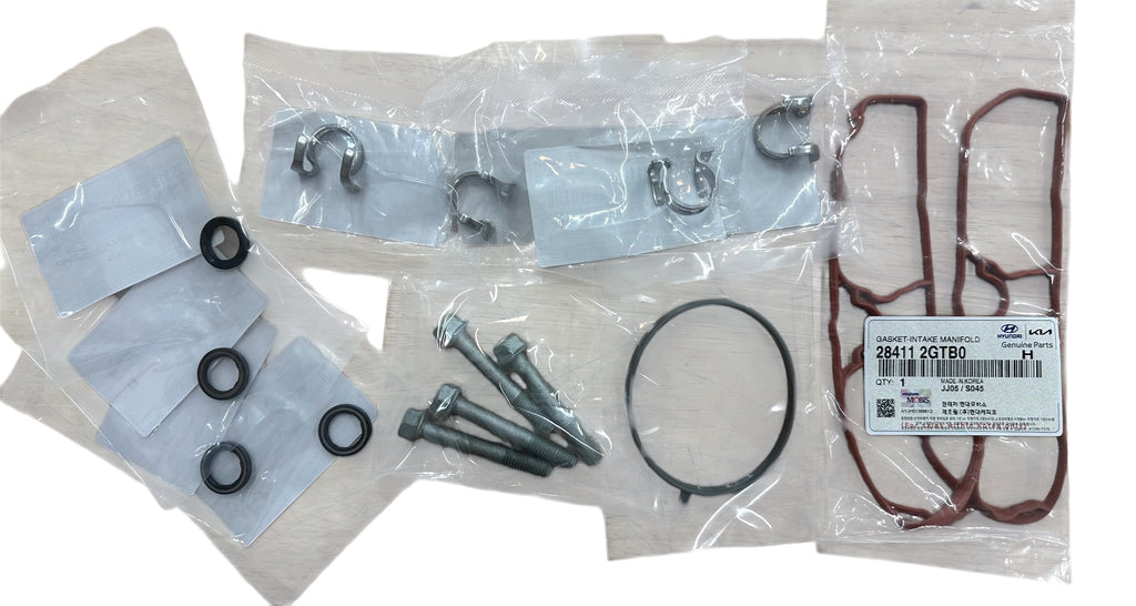 Hyundai Fuel Injector Service Kit Fits Hyundai N Vehicles