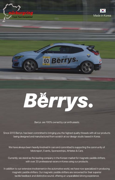 Berrys Magnetic Paddle Shifters  Elantra N / Kona N / Veloster N *FREE SHIPPING*