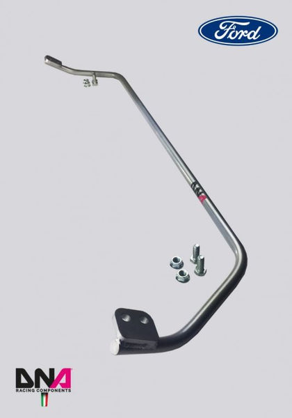 DNA Racing rear torsion bar spring steel 22mm kit 2014-2019 Fiesta ST