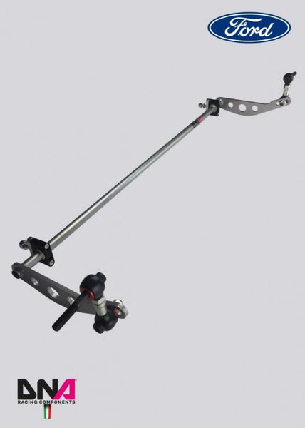 DNA Racing rear adjustable torsion bar ø 20x3mm kit 2014-2019 Fiesta ST