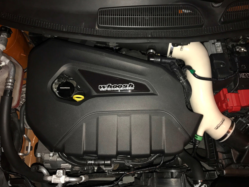 Gel Badge Engine Cover Emblem 2014-2019 Fiesta ST *many styles available*