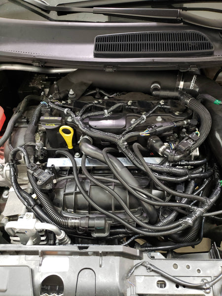 Peron 4-Port Aux Fuel Kit 2014-2019 Ford Fiesta ST