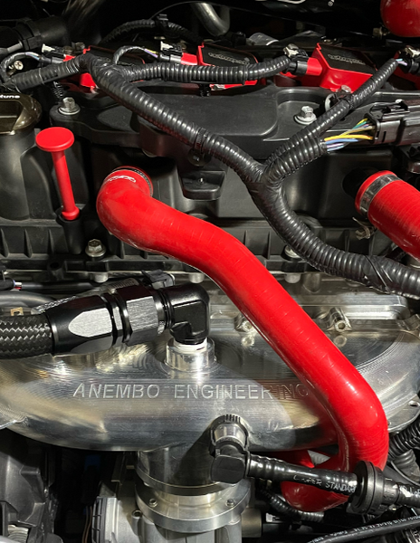 whoosh motorsports PCV/Oil Separator Hose 2014-2019 Fiesta ST