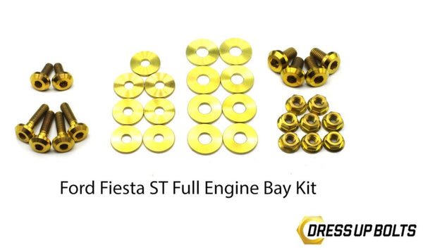 Dress Up Bolts Fiesta ST 2014+ Titanium engine bay dress up bolt kit *many colors available!*