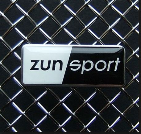 zunsport Fiesta ST lower grill kit Black Finish  *FREE SHIPPING*